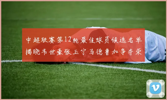 中超联赛第12轮最佳球员候选名单揭晓韦世豪张玉宁马德鲁加争夺荣誉