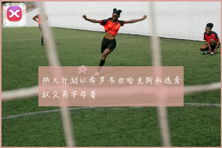 热火计划以希罗韦尔哈克斯和选秀权交易字母哥